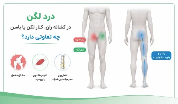 تفاوت محل درد کشاله ران کنار لگن و باسن